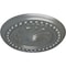 Ekena Millwork Foster Shell Ceiling Medallion (Fits Canopies up to 9 5/8"), Hand-Painted Platinum, 15 3/4"OD x 2"P CM15FOPLS - alternate 4